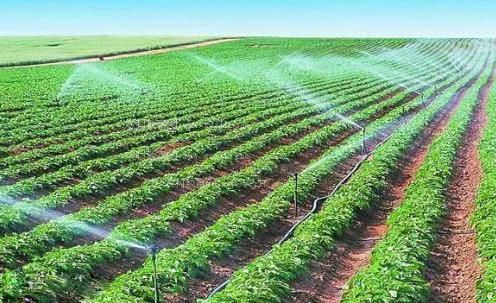 肏女人屄视频农田高 效节水灌溉